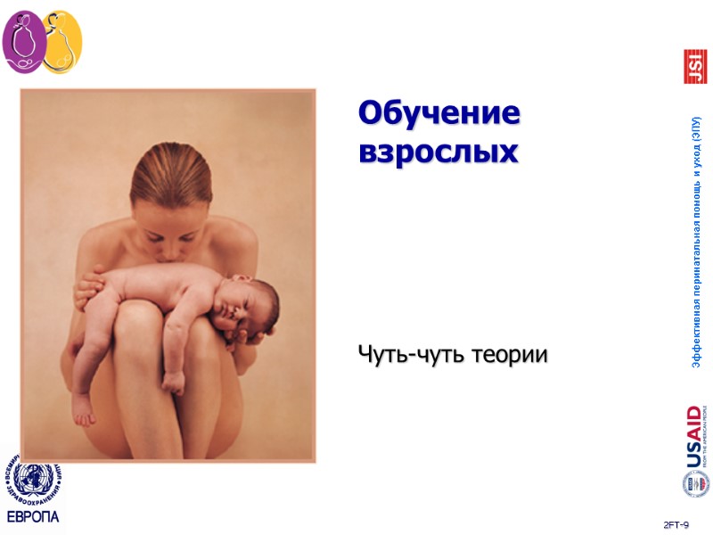 Обучение  взрослых Чуть-чуть теории